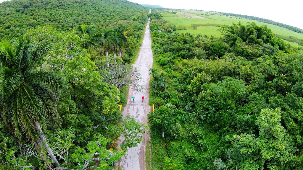 Hotel Spa Taninul Los Puentes المظهر الخارجي الصورة