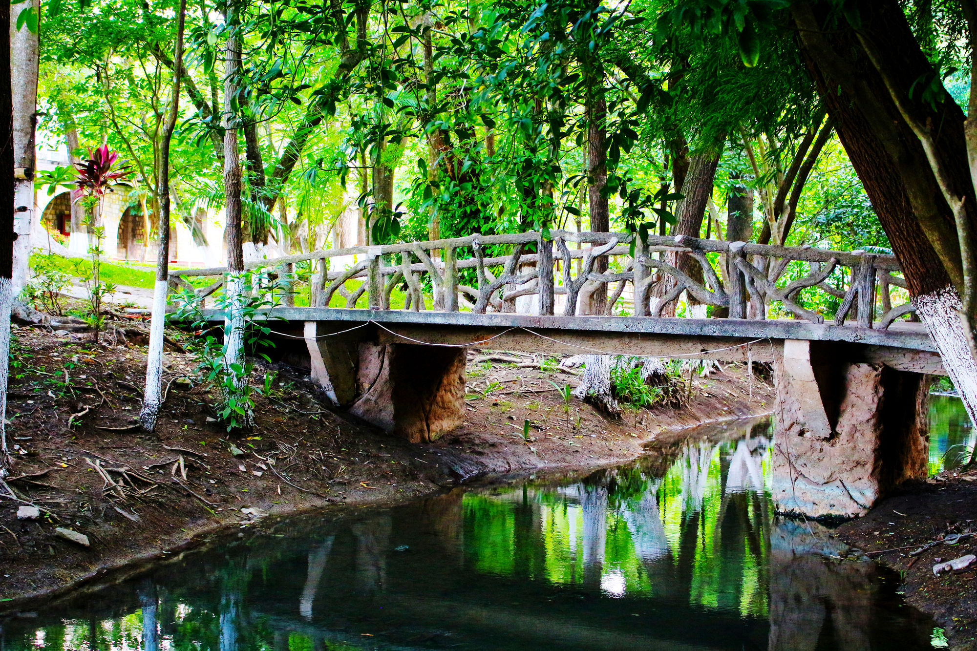 Hotel Spa Taninul Los Puentes المظهر الخارجي الصورة